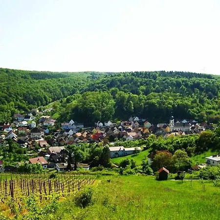 Apartment Ferienwohnung Balbach,